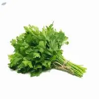 Fresh Parsley