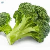Fresh Broccoli