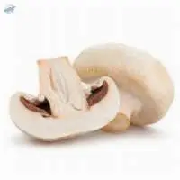 Fresh Mushroom