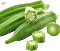 Fresh Okra
