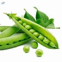 Fresh Green Peas