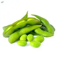 Fresh Broad Beans