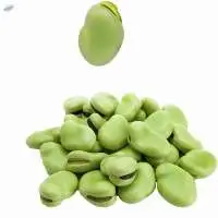 Fresh Soybeans