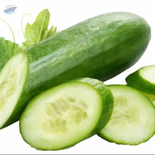 Fresh Cucumber