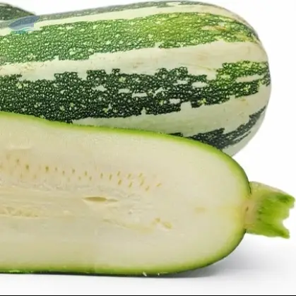 Fresh Marrow