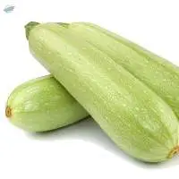 Fresh Zucchini