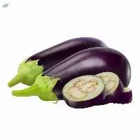 Fresh Eggplant