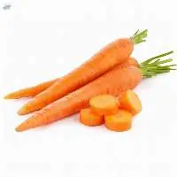 Fresh Carrot