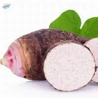 Fresh Taro
