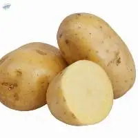 Fresh Potatoes