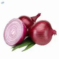 Fresh Onions
