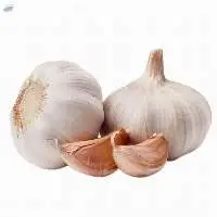 Fresh Garlic