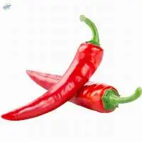 Fresh Hot Chilies