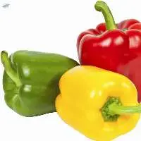 Fresh Capsicum