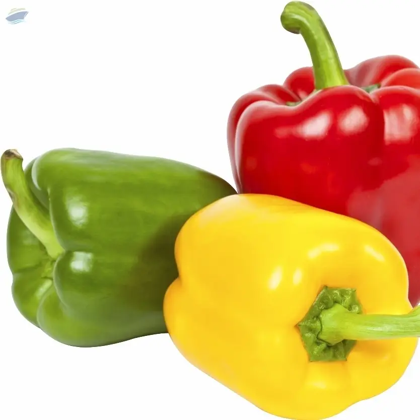 Fresh Capsicum