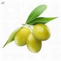 Fresh Olives