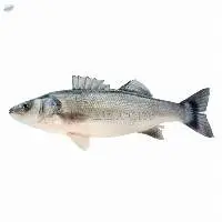 Frozen Sea-Base Fish