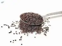 Mustard seeds