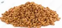 Fenugreek Seed
