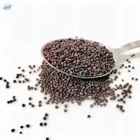 Mustard seeds (Sarson) 250g