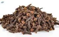 Clove