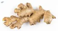 Ginger