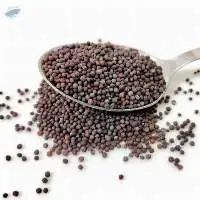 Mustard seeds