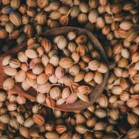 Coriander Seeds