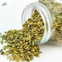 Fennel Seeds
