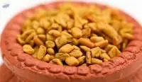 Fenugreek Seed