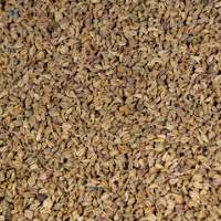 Carom Seeds