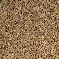 Carom Seeds