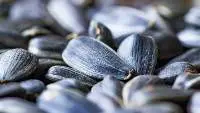 Sunflower Seeds