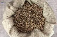 Tiger Nuts