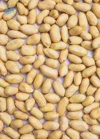 Blanched Peanuts