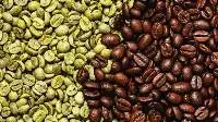 Green Coffee