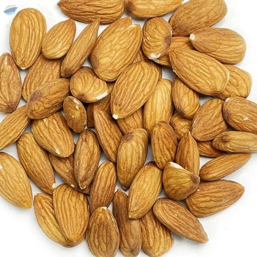 Almond Nuts