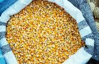 Maize