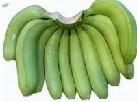 Cavendish Banana