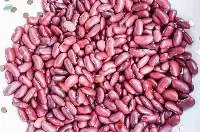 Kidney Beans