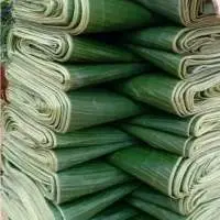 Fresh Banana Leaf