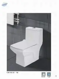 One Piece Toilet Seat-104