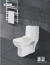 One Piece Toilet Seat-105