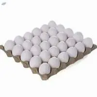 Fresh White Chicken Eggs