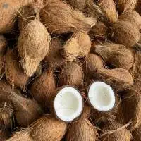 Fresh Coconut