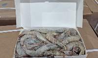 Whole Frozen Shrimp 20/30