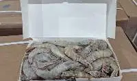 Whole Frozen Shrimp 20/30