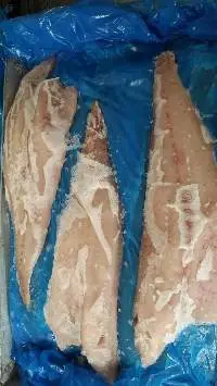 Frozen Hake Fillets With Skin (Merluccius GAYI)