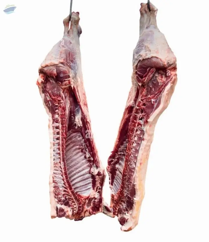 Beef