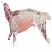 Mutton